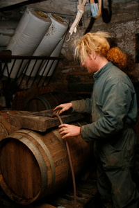Piping the apple juice into a barrel using gravity