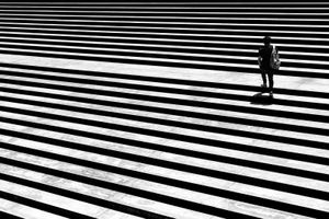 Sea of Lines