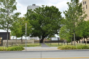 Oklahoma City National Memorial