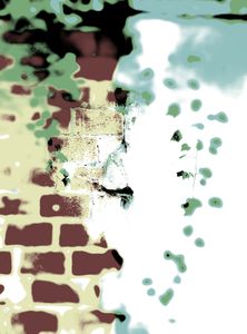 Metamorphosis 5
