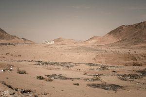 Sandland  20
