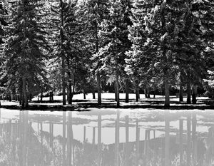 Light and shadow 13