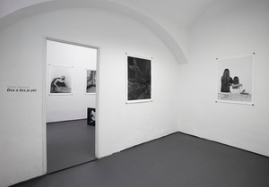 Installation view, Jeleni Gallery, Prague