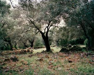 Santa Christina, 30 x 40 inches, c-print, 2011 © Marisa Portolese