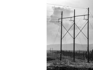 Singing Wires