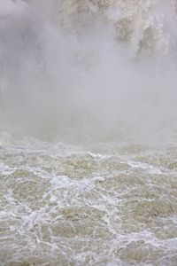 Foss 10