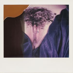 Vulva 6