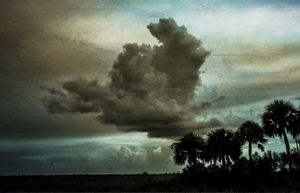 Prairie Storm