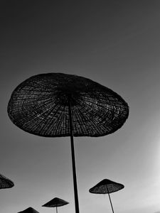 Weird Mushrooms
