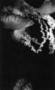 Orura #3