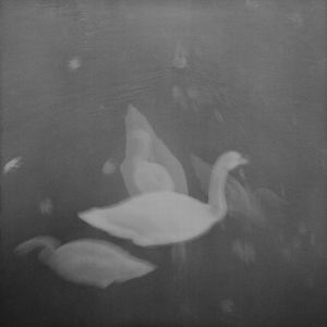 Sentimental Journey II