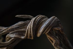 Movement V