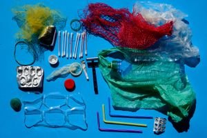 Single-use plastics, the food of the future