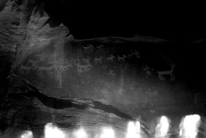 Reindeer herd seen on rock surface