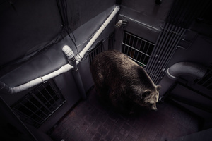 Xavier, go out from here!