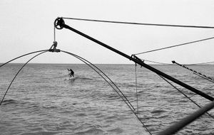 © Flavio Martin Morante