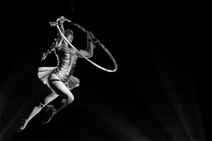 Aerial Art - Elegance - Lucioza