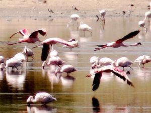 Gliding along