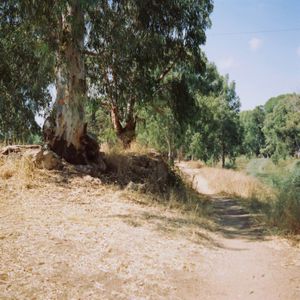 exposed with a folding lens camera