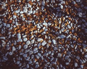 Icelandic Surfaces #18