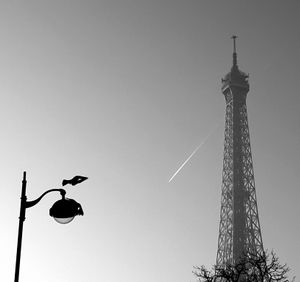 The Eiffel Tower and the Bird_4