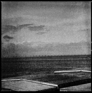 dark lisbon