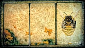 Bumble Bee Triptych