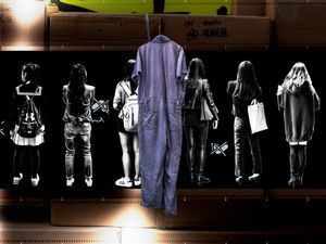the lights 5