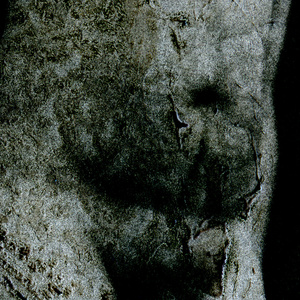 The Natural order-26