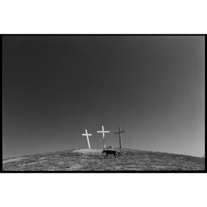 'Trix at Bible Land' 1974