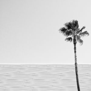 Los Angeles, Rodeo Drive