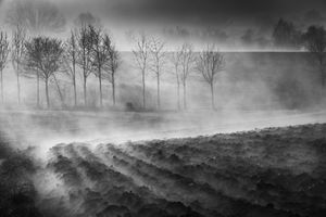 Foggy land