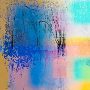 Forest #6