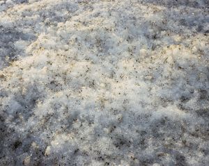 Icelandic Surfaces #21