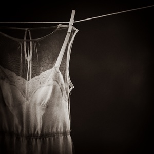 Sadie's Mesh and Lace