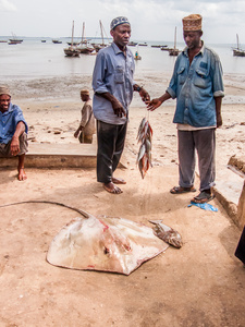 Small nets, Hand lines