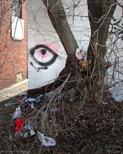 Weeping graffiti, near Paradise Valley, illustrates Detroit’s complexity - tough and fragile.  Contradiction makes its home in Motown. There is a conflicted spirit embodied by optimism and hope along with frustration and fear. Many Detroiters are determined in the face of adversity and the challenge could not be more stark. © Nicholas Gregory