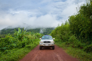 Free The Bears’ pick-up makes its way through Cambodia’s Cardamom mountains after rescuing a moon bear cub in Samlaut district in the west of the country.