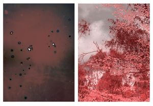 Dissociated #9