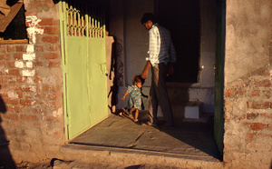Poultry Farm Story, Nagpur, India, 1990