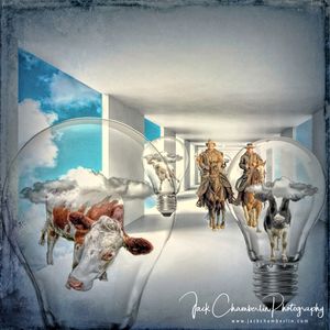 Cattle Drive in the halls of the unconscious