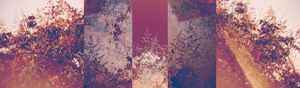 Act II - Contrast of Nature