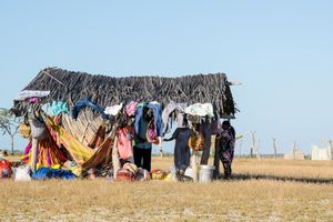una enramada femenina
