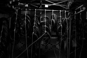 Ropes, NYC, 2011  © Ayala Gazit