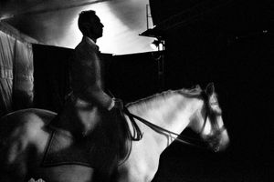 White Horse Black Rider