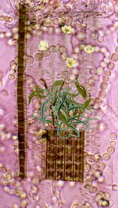 Amalgamated Fragmentation / Plastisphere–Plant 4