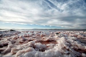Salty Lake