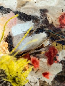 Abstract #1