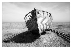 Dungeness #8