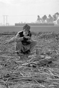 Breakfast in the fields | Dhanda, Punjab.